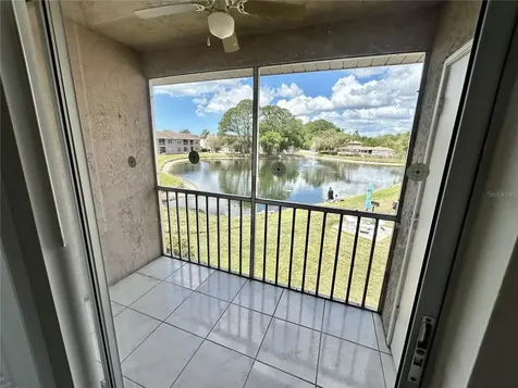 6519 Spring Flower Drive New Port Richey FL 34653
