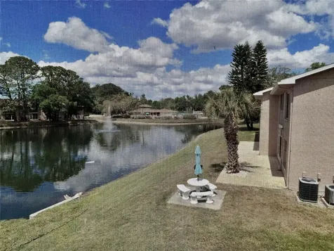 6519 Spring Flower Drive New Port Richey FL 34653