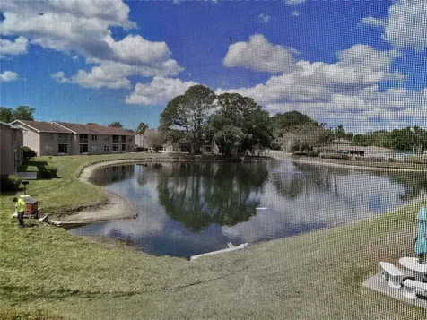 6519 Spring Flower Drive New Port Richey FL 34653