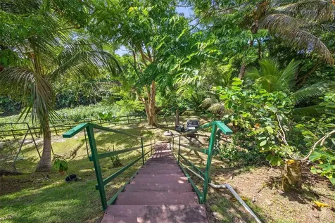 Palma Real Palma De Coco Guaynabo PR 00966