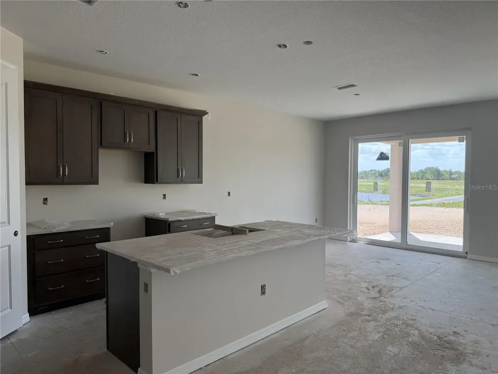 5919 Fresh Flora Drive Wimauma FL 33598