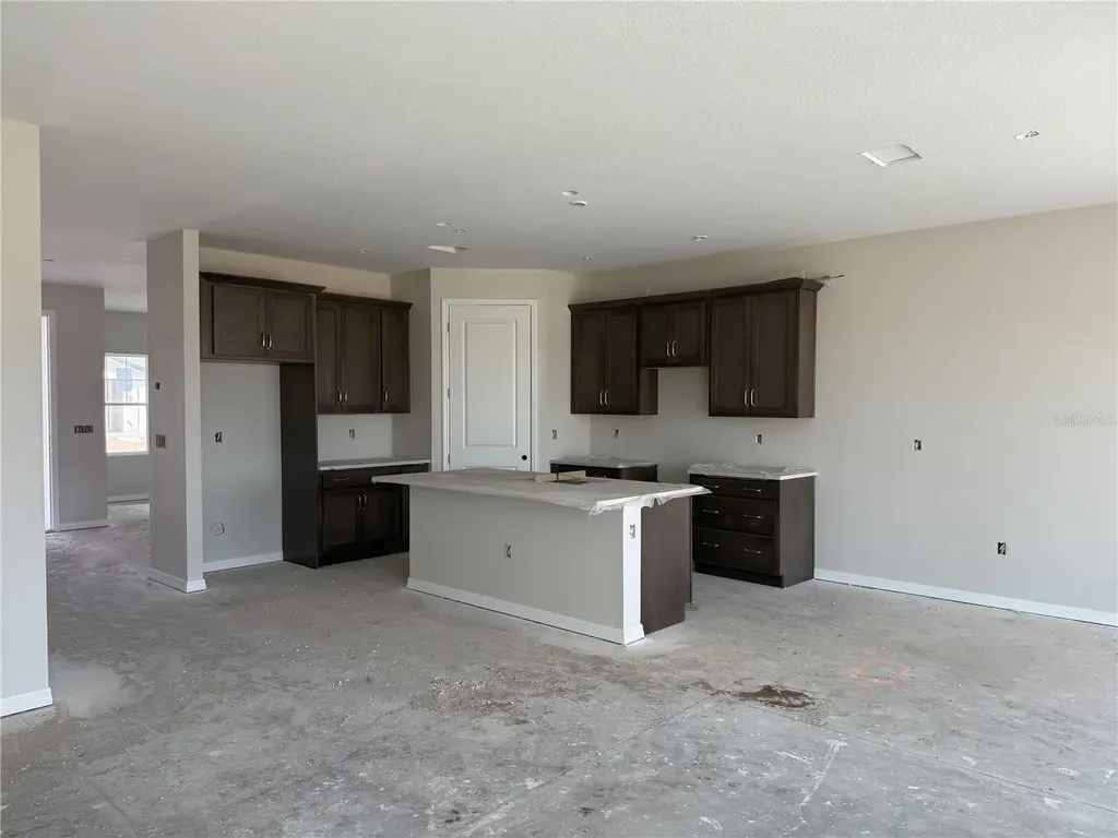 5919 Fresh Flora Drive Wimauma FL 33598