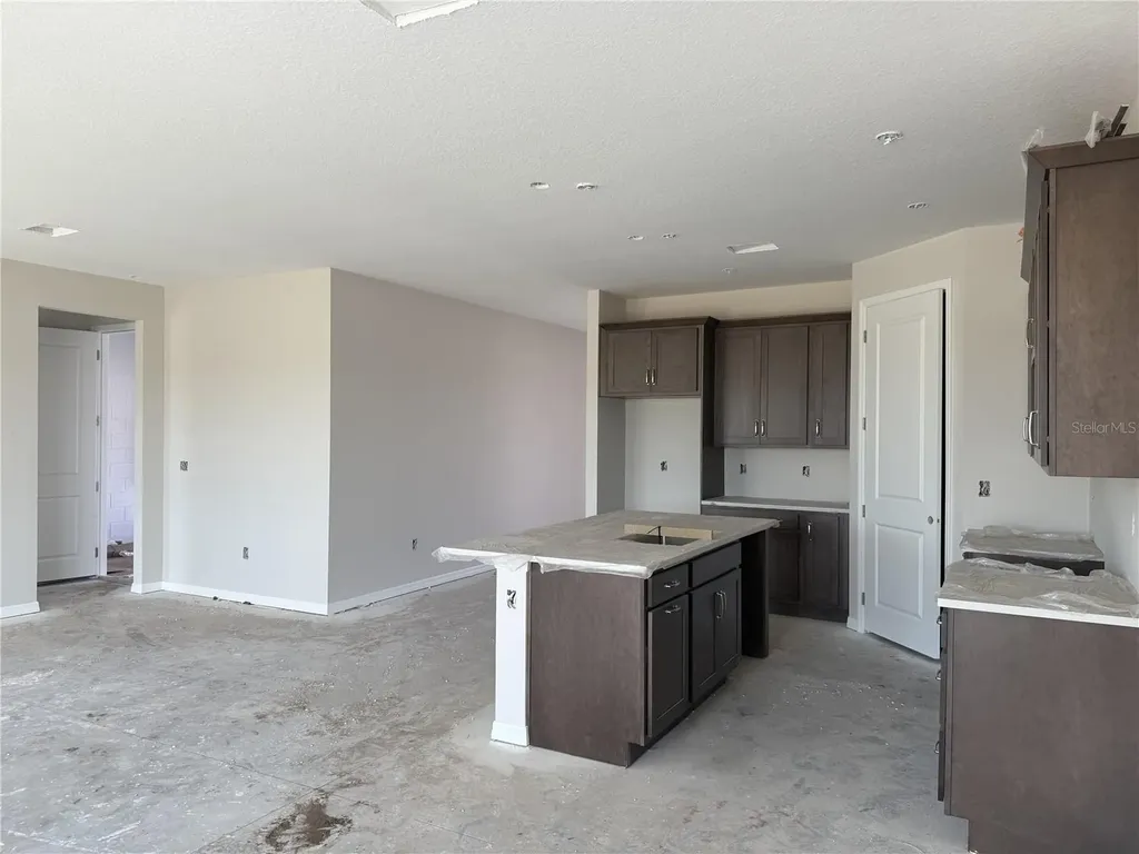 5919 Fresh Flora Drive Wimauma FL 33598