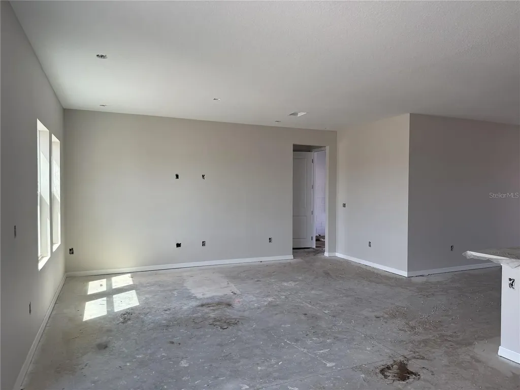 5919 Fresh Flora Drive Wimauma FL 33598