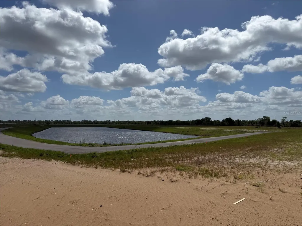 5919 Fresh Flora Drive Wimauma FL 33598