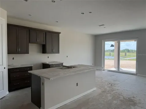 5919 Fresh Flora Drive Wimauma FL 33598