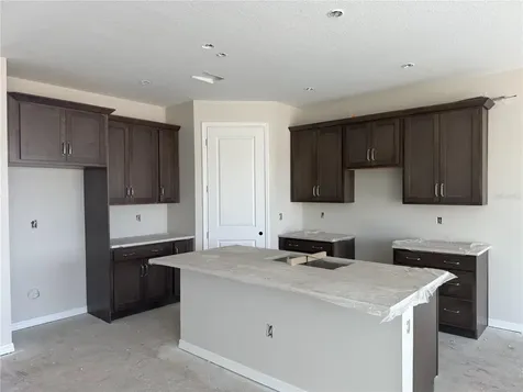 5919 Fresh Flora Drive Wimauma FL 33598