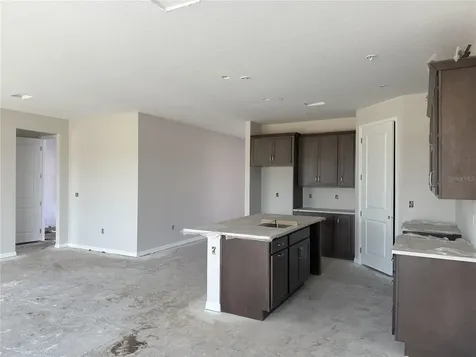 5919 Fresh Flora Drive Wimauma FL 33598