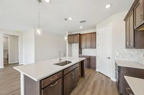 5919 Fresh Flora Drive Wimauma FL 33598
