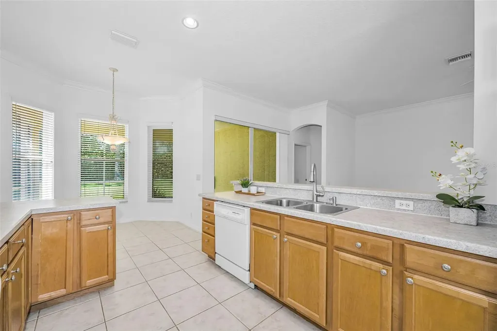 10324 Sorenstam Drive Trinity FL 34655