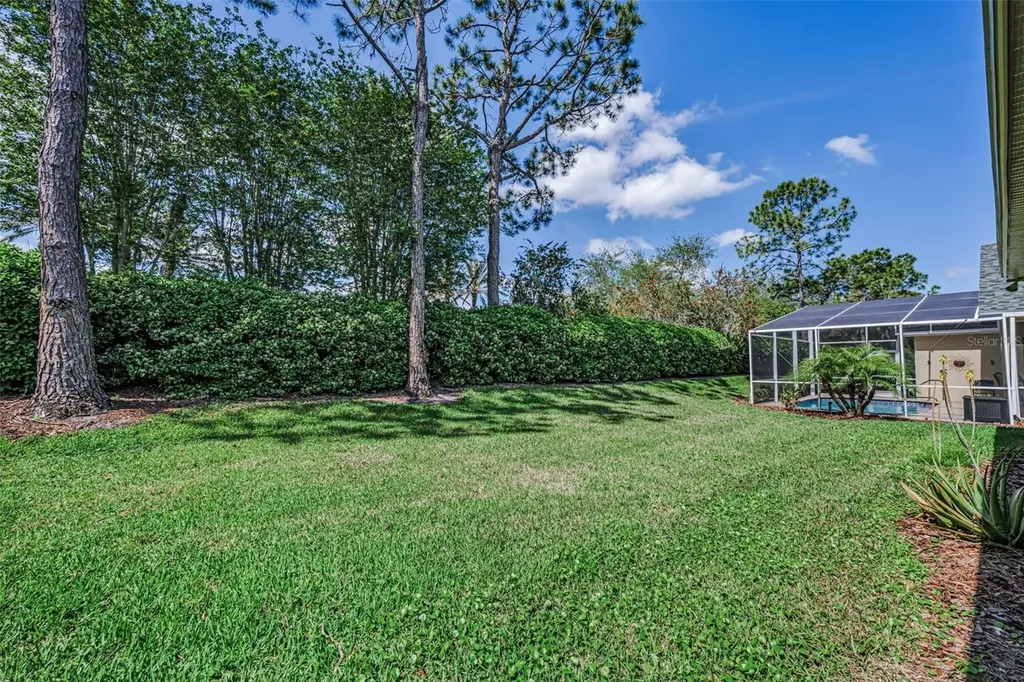 10324 Sorenstam Drive Trinity FL 34655