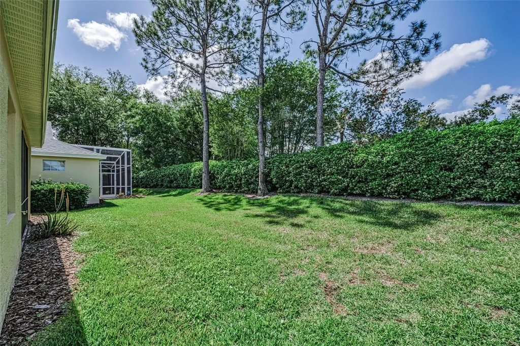 10324 Sorenstam Drive Trinity FL 34655