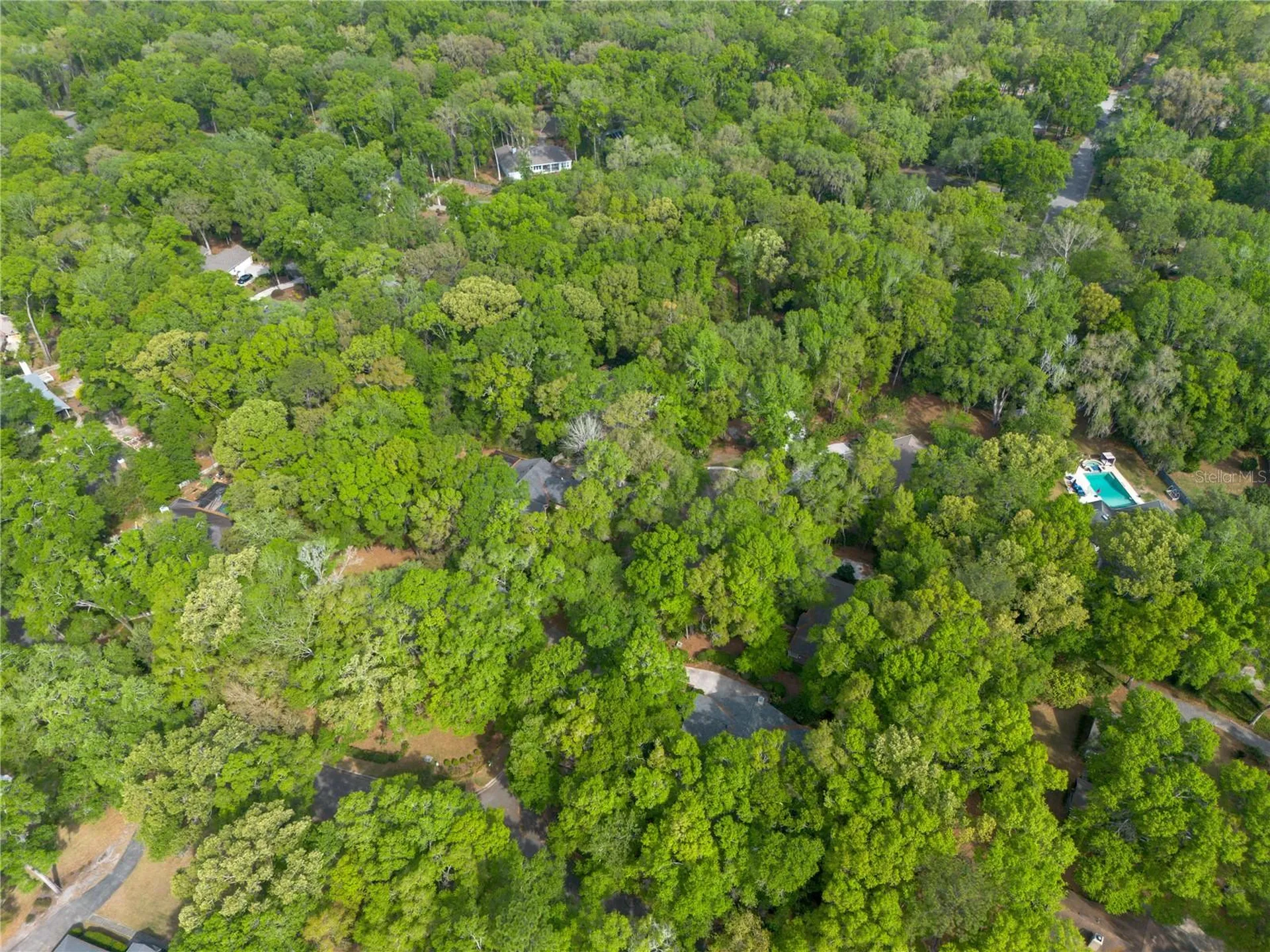 5505 SW 93rd Way Gainesville FL 32608
