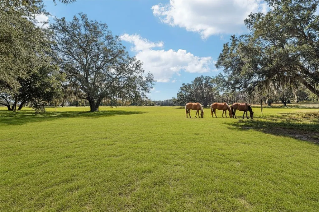 36203 Micro Racetrack Road Fruitland Park FL 34731
