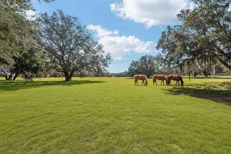 36203 Micro Racetrack Road Fruitland Park FL 34731