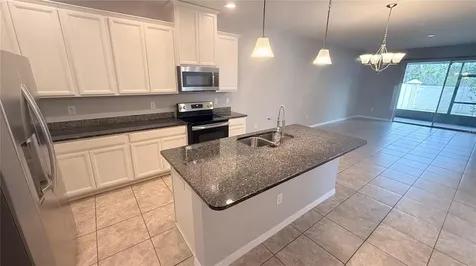 10567 Heron Hideaway Loop Land O Lakes FL 34638