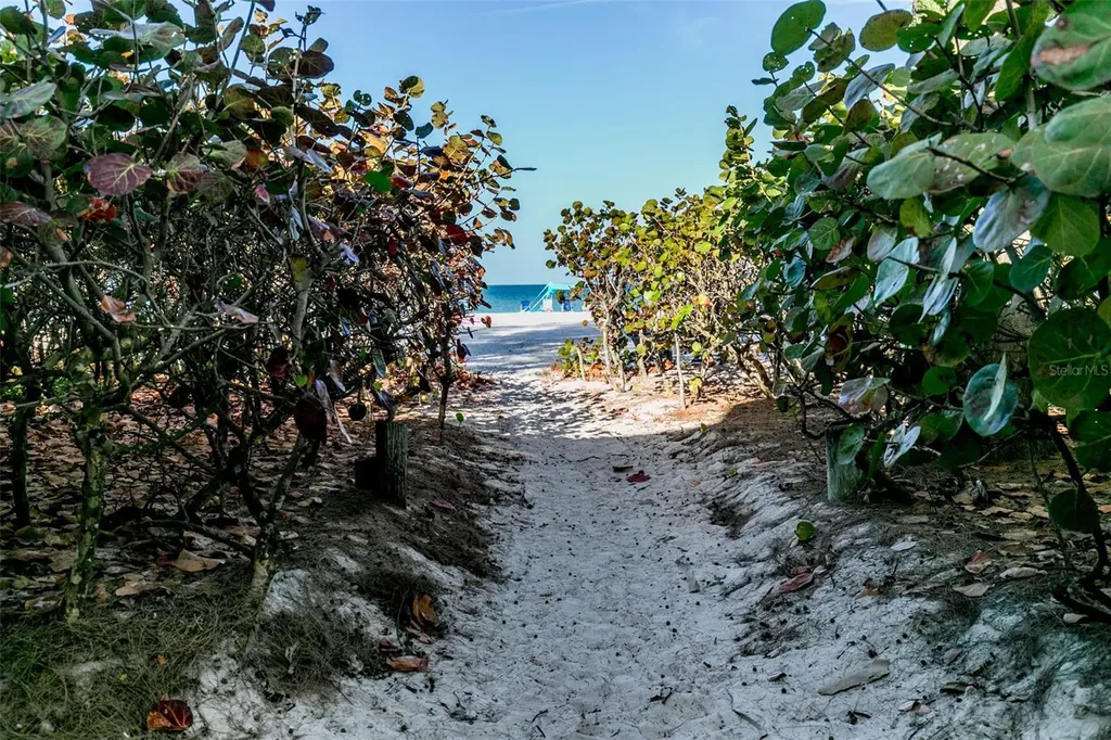 19812 Gulf Boulevard Indian Shores FL 33785