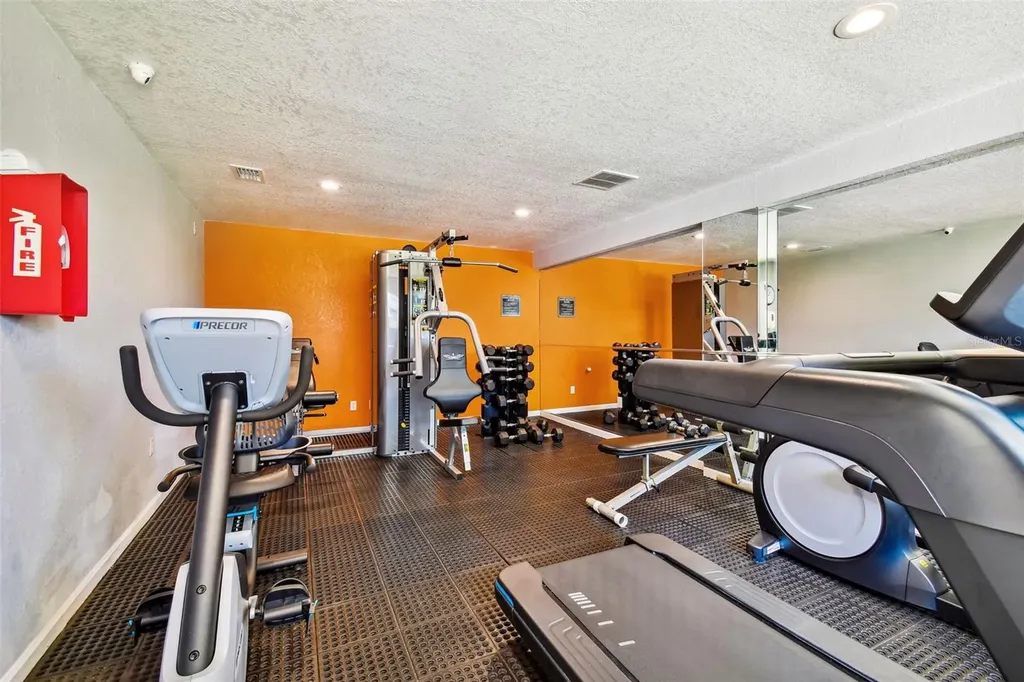 229 Red Maple Place Brandon FL 33510