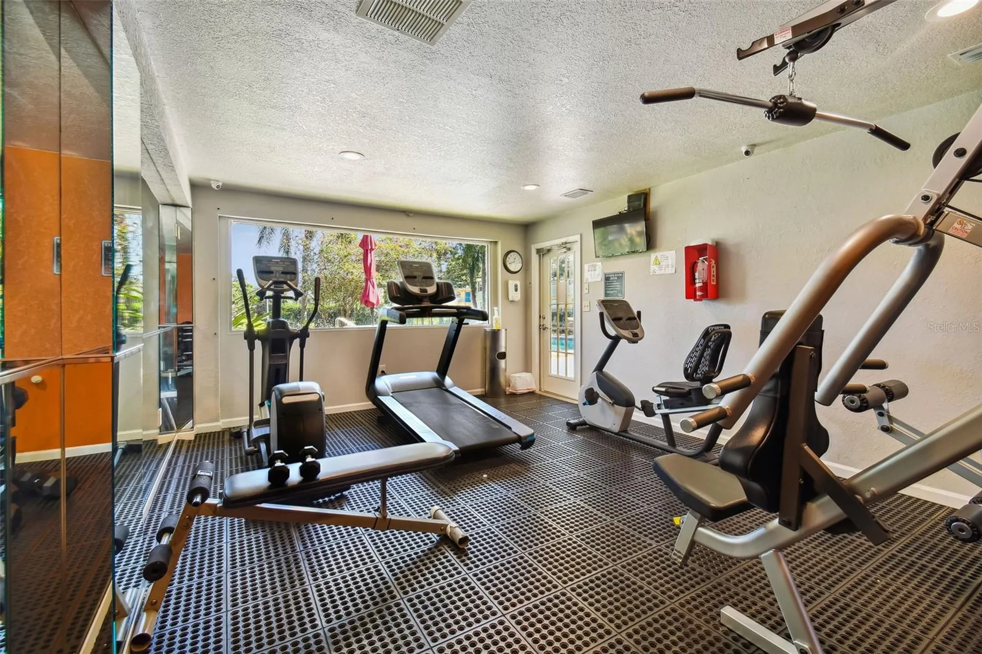 229 Red Maple Place Brandon FL 33510
