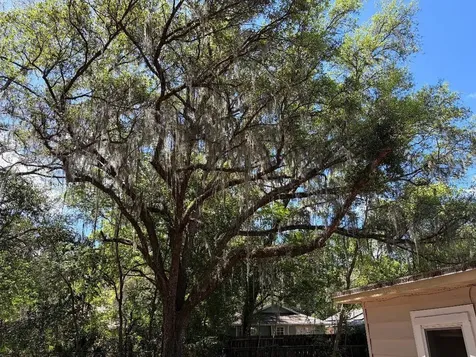 1623 SE 3rd Avenue Gainesville FL 32641
