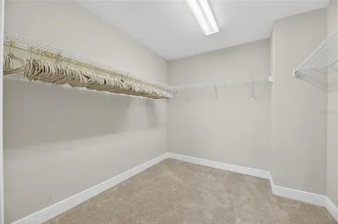 12795 Fisherville Way Riverview FL 33579