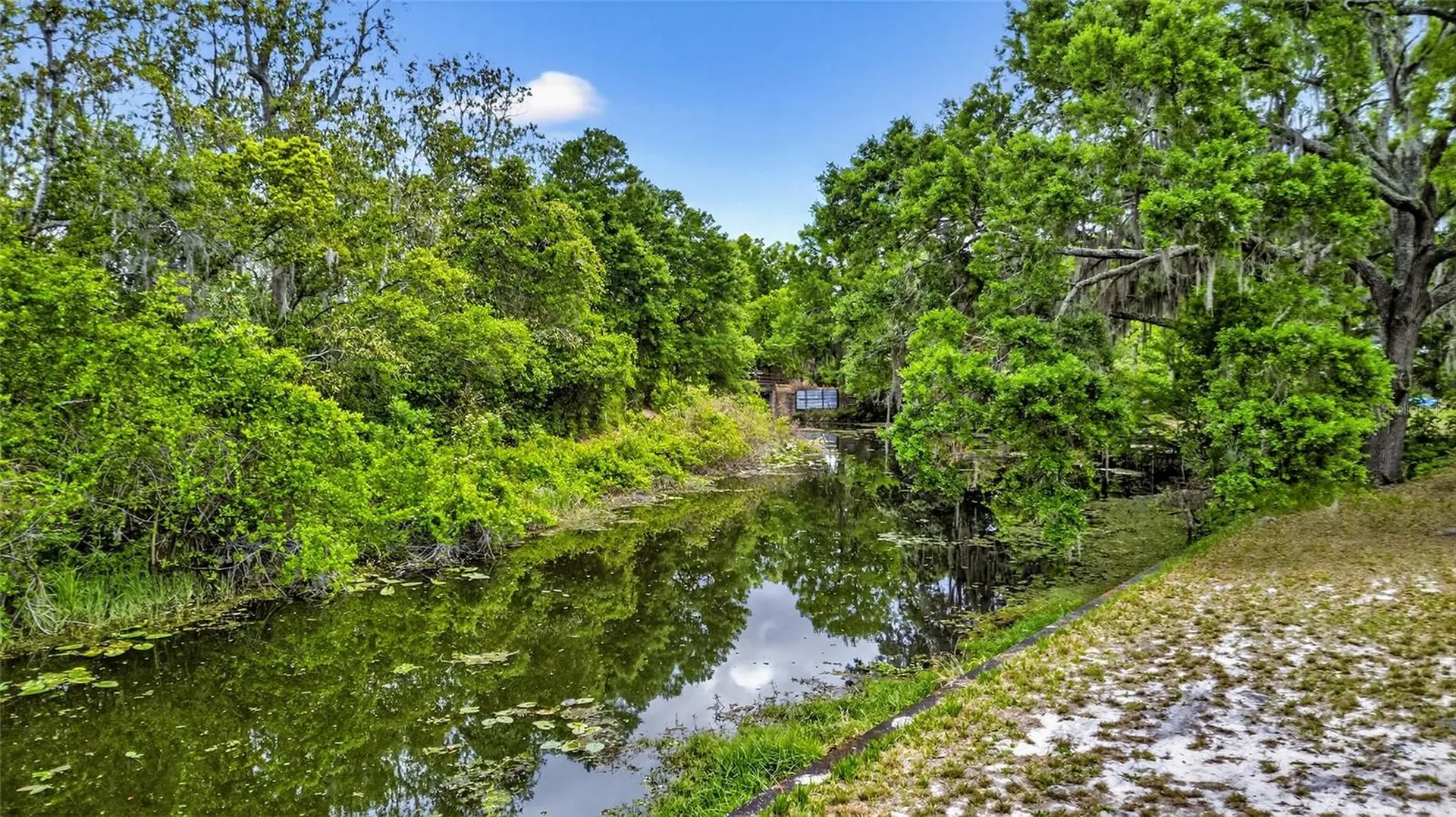 34618 S Haines Creek Road Leesburg FL 34788