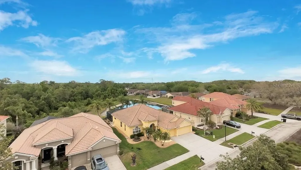 11719 Belle Haven Drive New Port Richey FL 34654