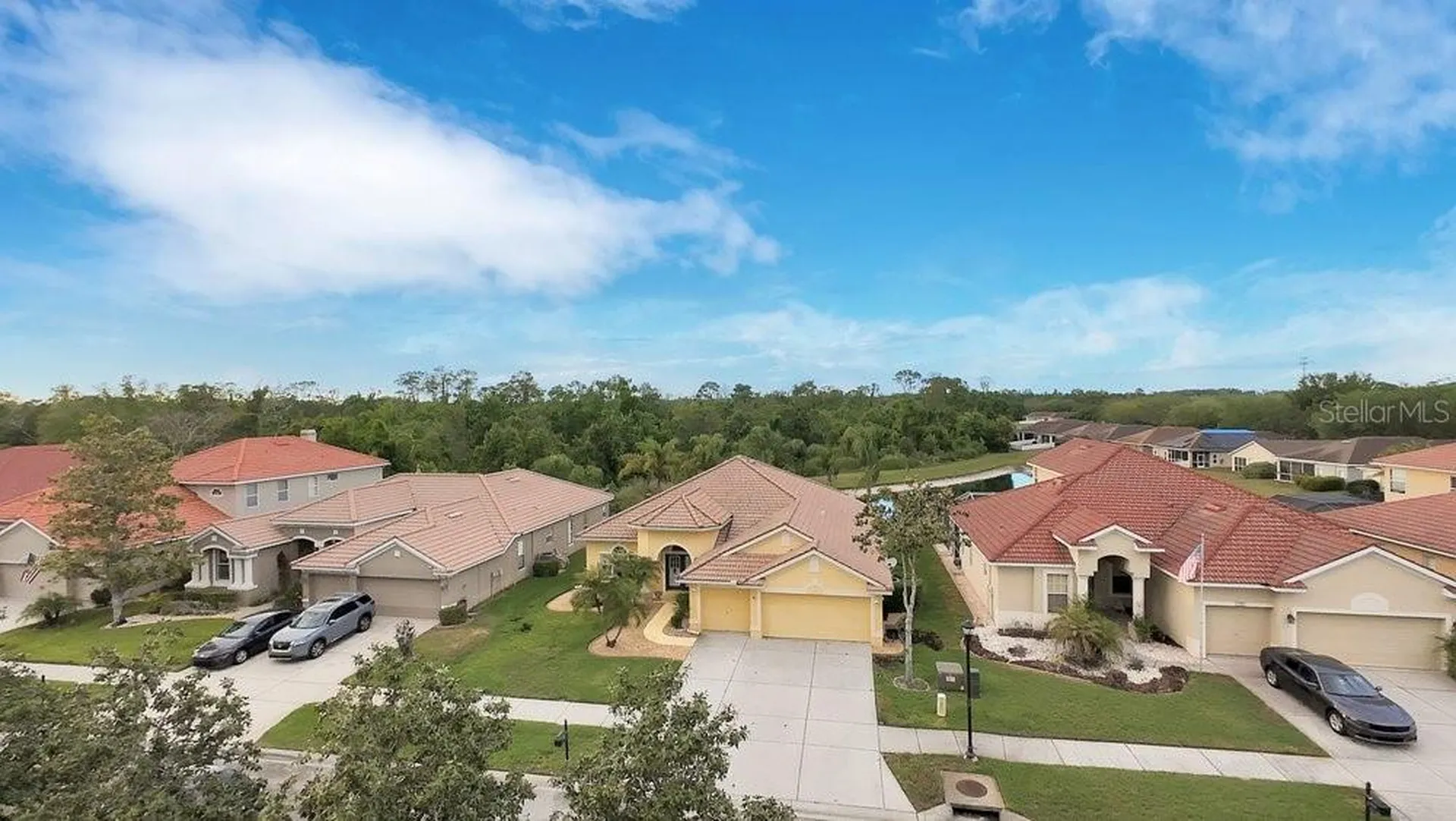 11719 Belle Haven Drive New Port Richey FL 34654