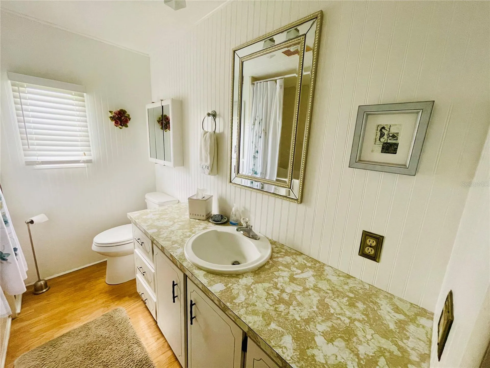 204 Red Maple Drive Palm Harbor FL 34684