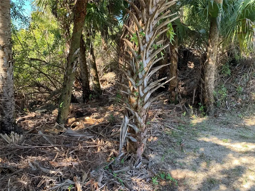 1375 Clearview Drive Port Charlotte FL 33953