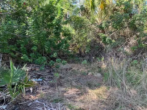 1375 Clearview Drive Port Charlotte FL 33953