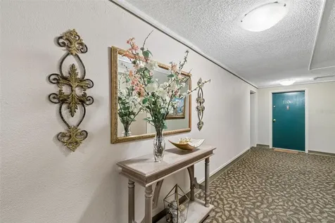 4141 Bayshore Boulevard Tampa FL 33611