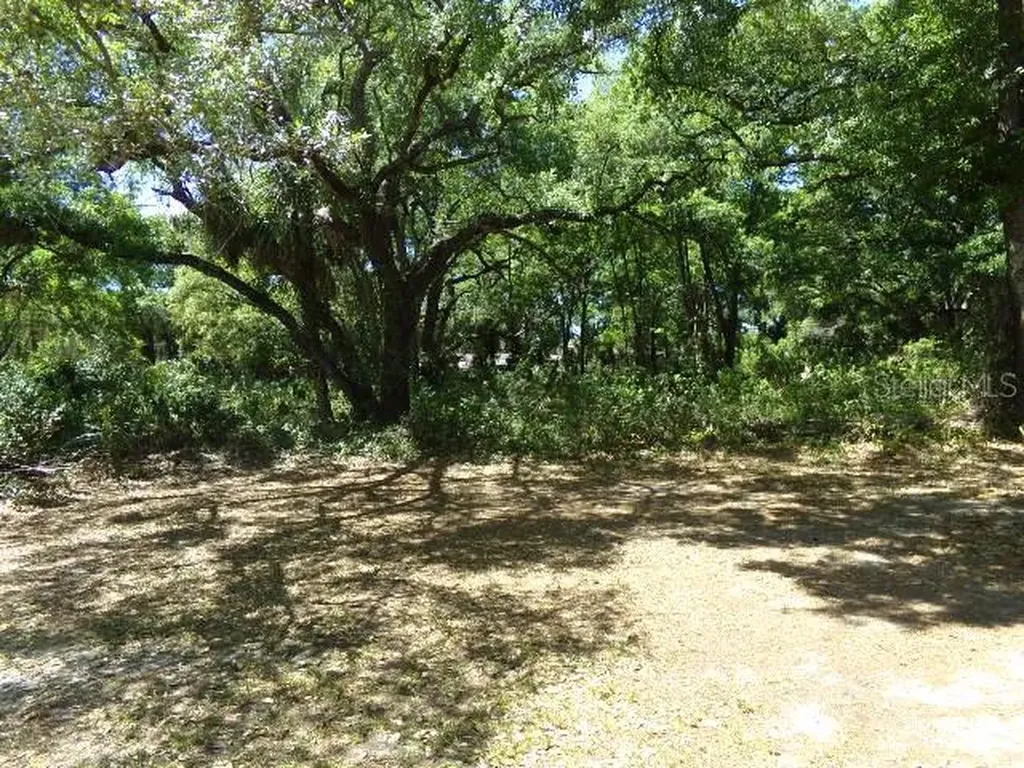 3901 Church Arbor Avenue Tampa FL 33614