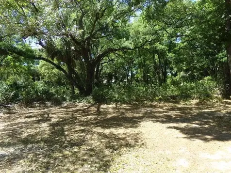 3901 Church Arbor Avenue Tampa FL 33614