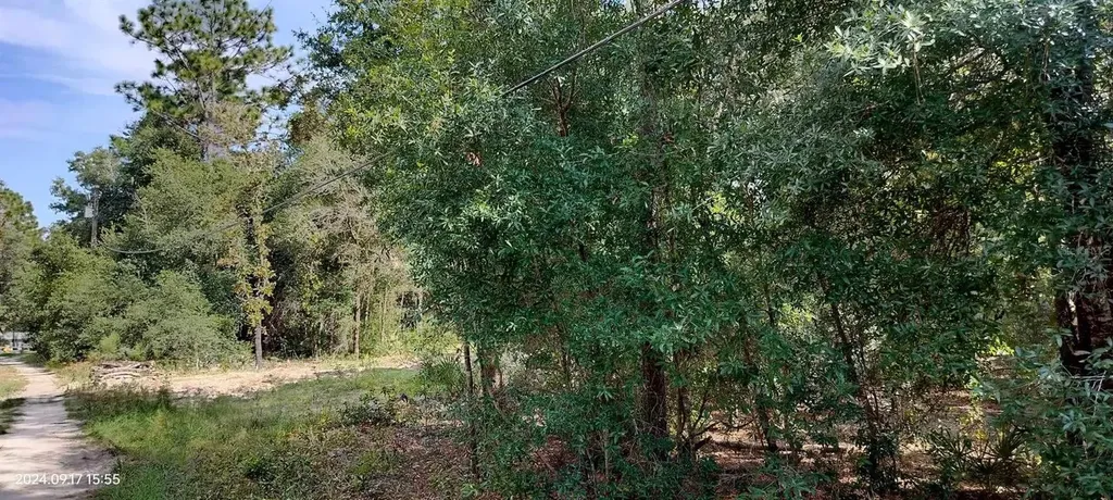 1108 E Van Gogh Court Hernando FL 34442