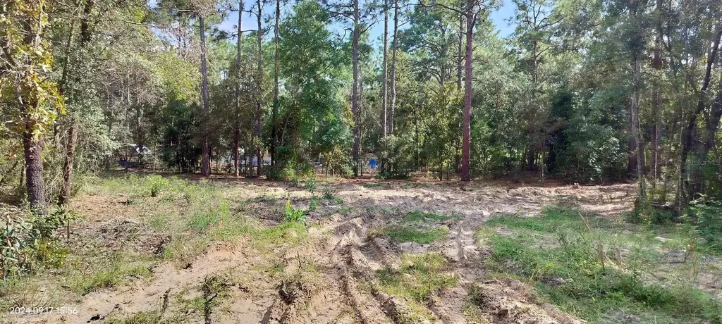1108 E Van Gogh Court Hernando FL 34442