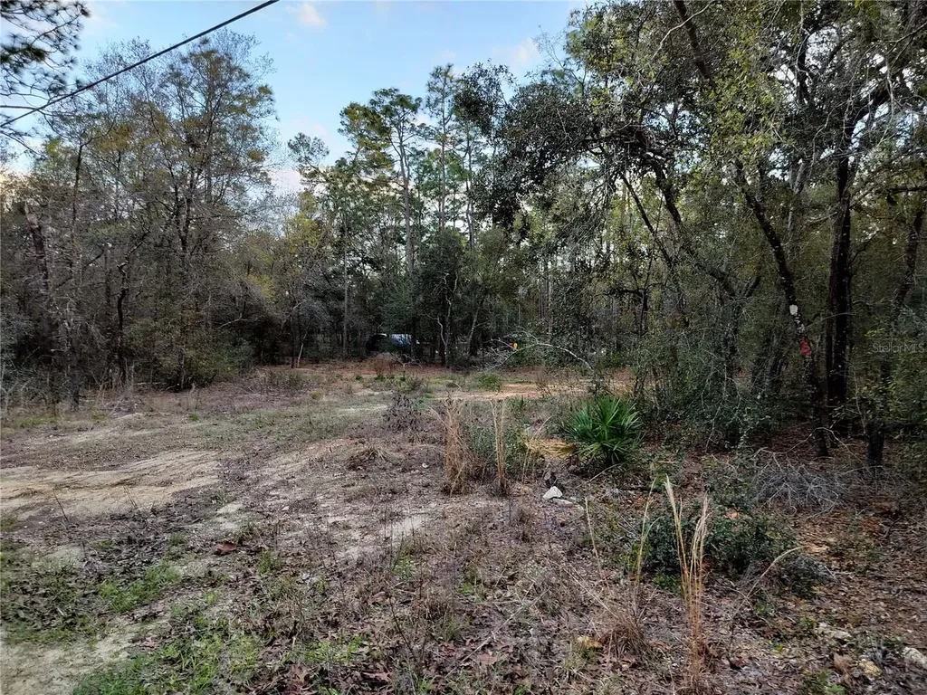 1108 E Van Gogh Court Hernando FL 34442