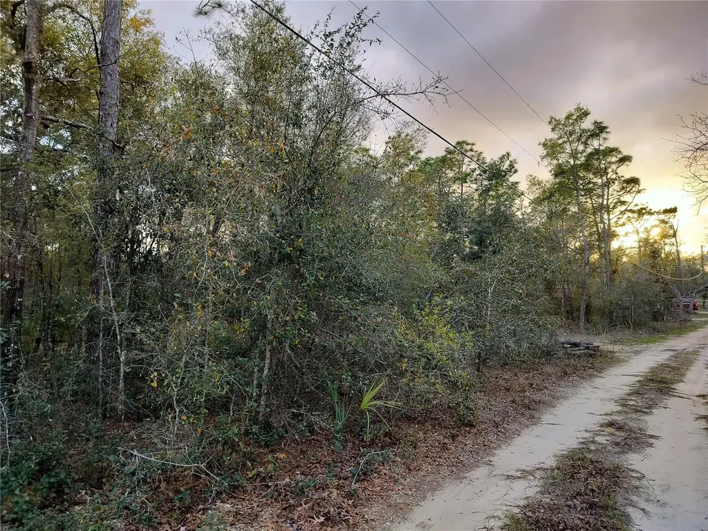 1108 E Van Gogh Court Hernando FL 34442