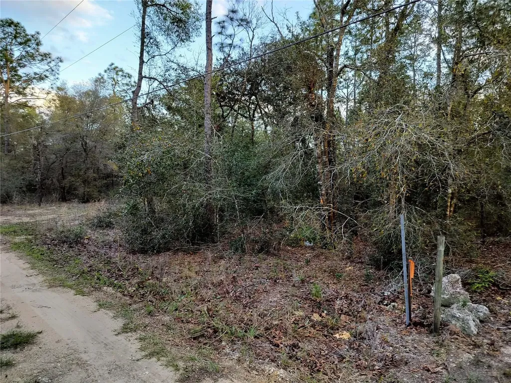 1108 E Van Gogh Court Hernando FL 34442