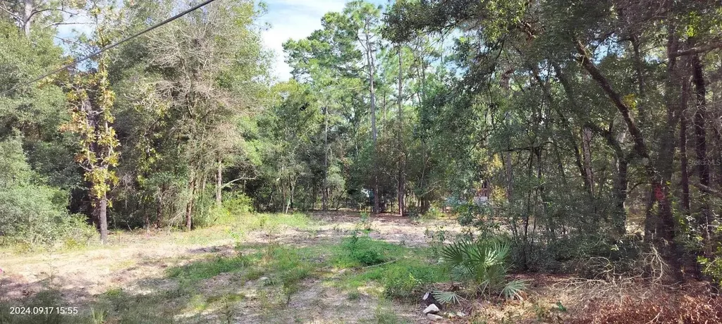 1108 E Van Gogh Court Hernando FL 34442