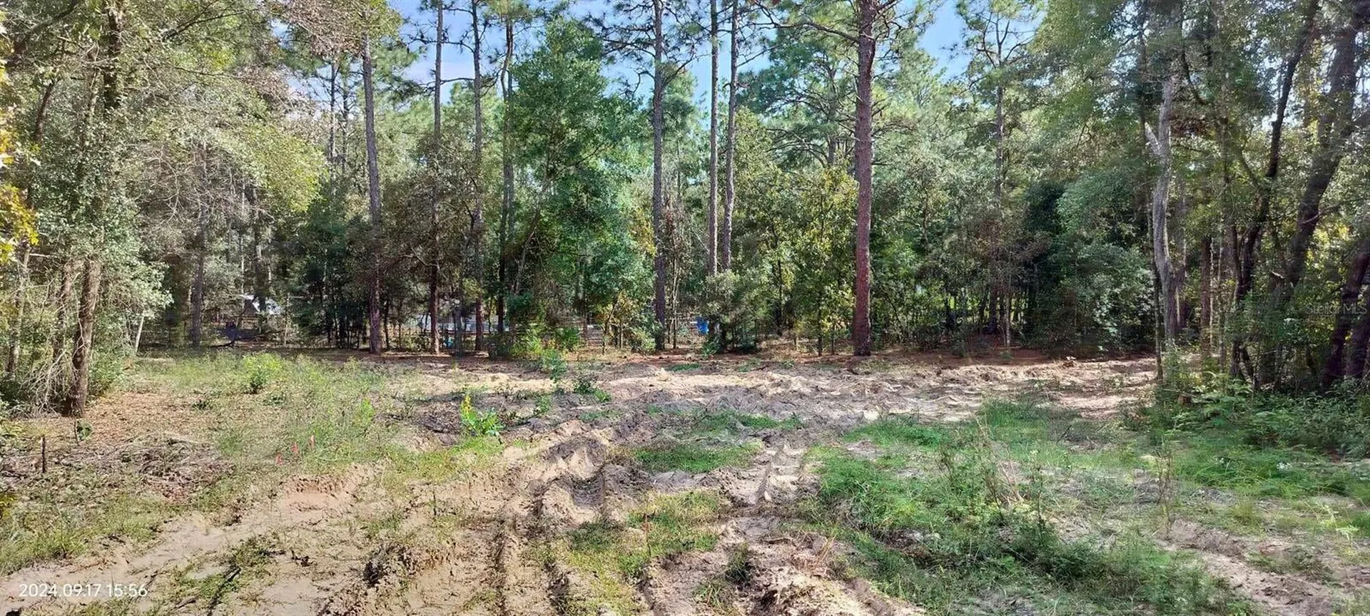 1108 E Van Gogh Court Hernando FL 34442