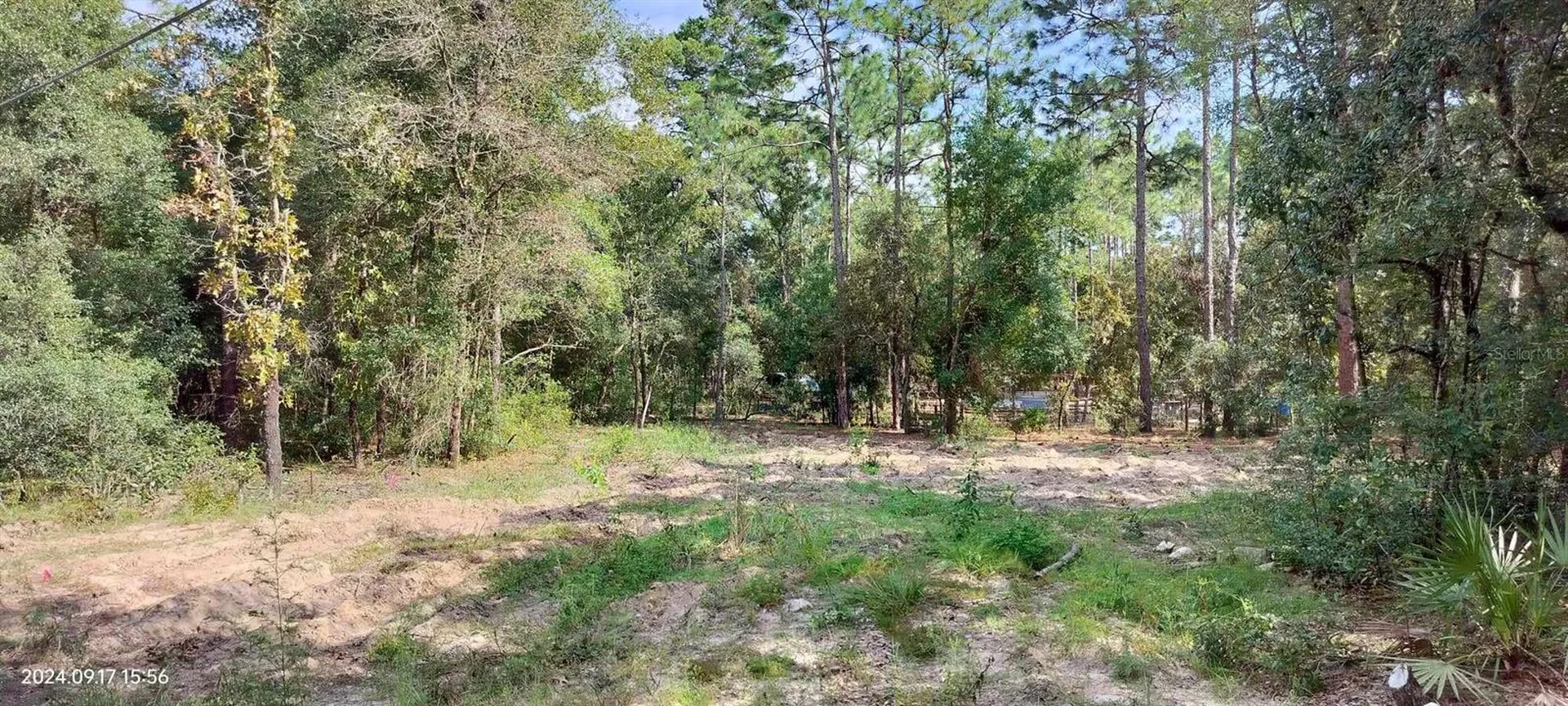 1108 E Van Gogh Court Hernando FL 34442