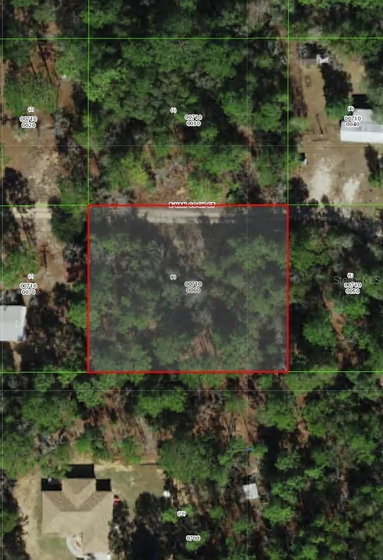 1108 E Van Gogh Court Hernando FL 34442