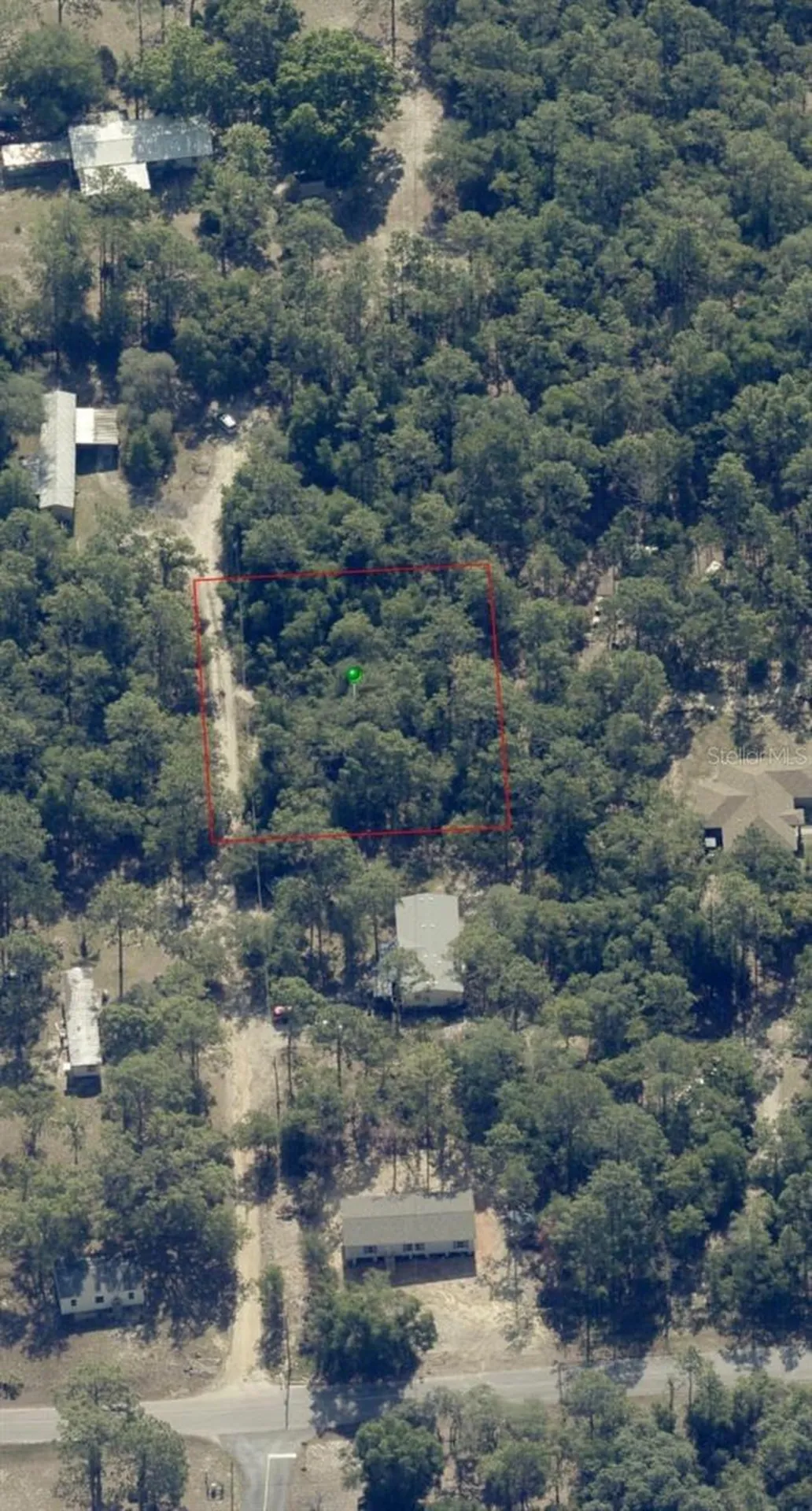 1108 E Van Gogh Court Hernando FL 34442