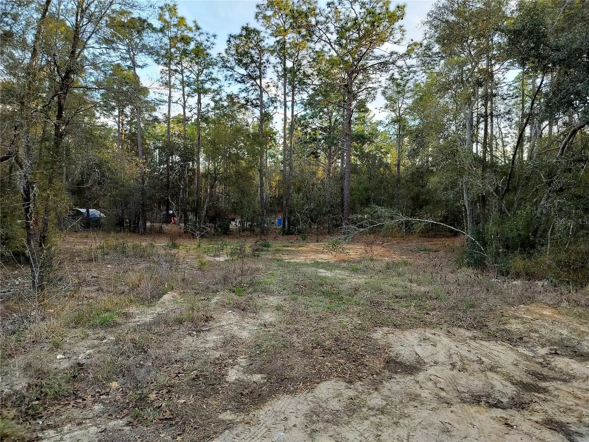 1108 E Van Gogh Court Hernando FL 34442