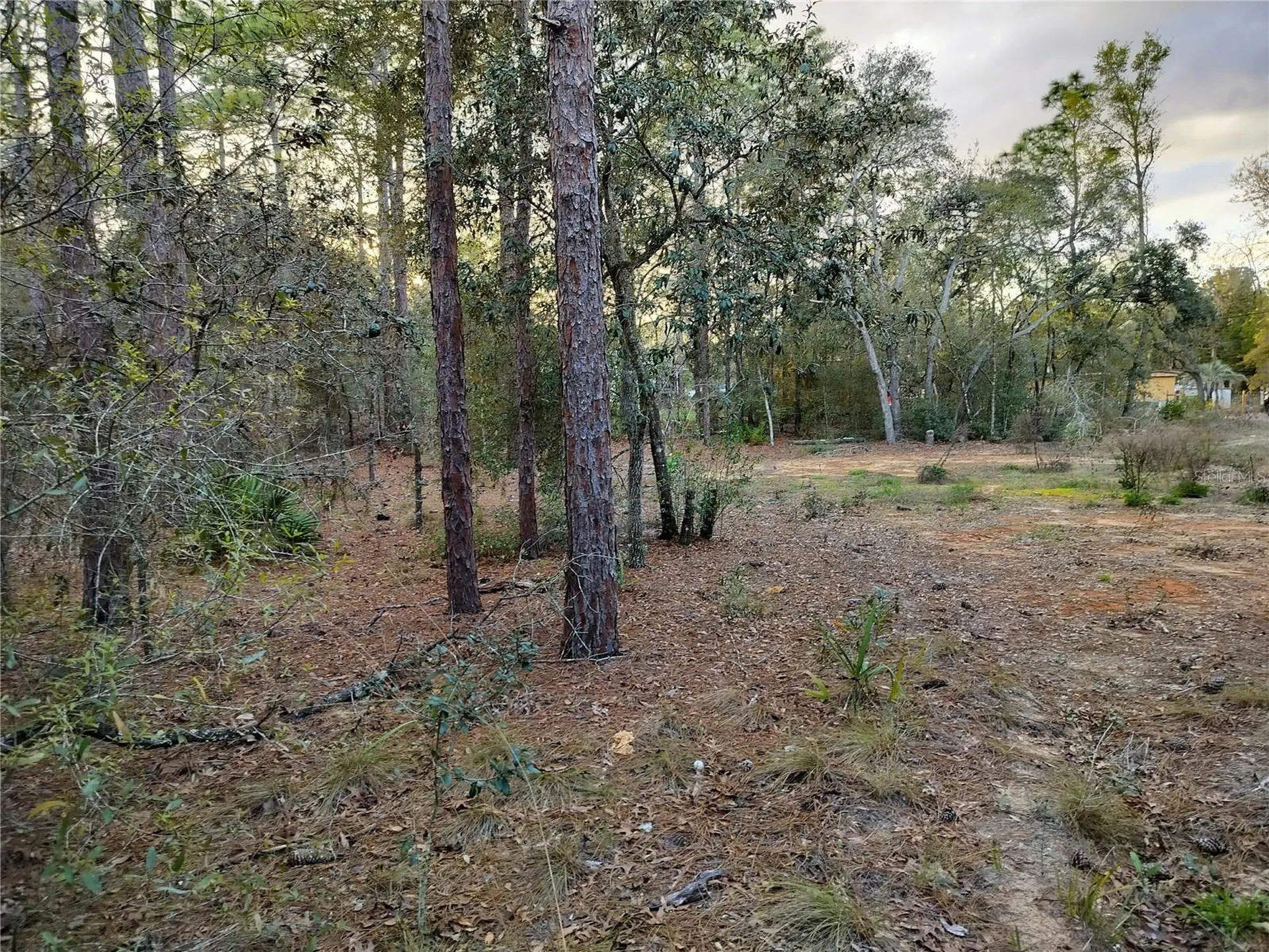 1108 E Van Gogh Court Hernando FL 34442