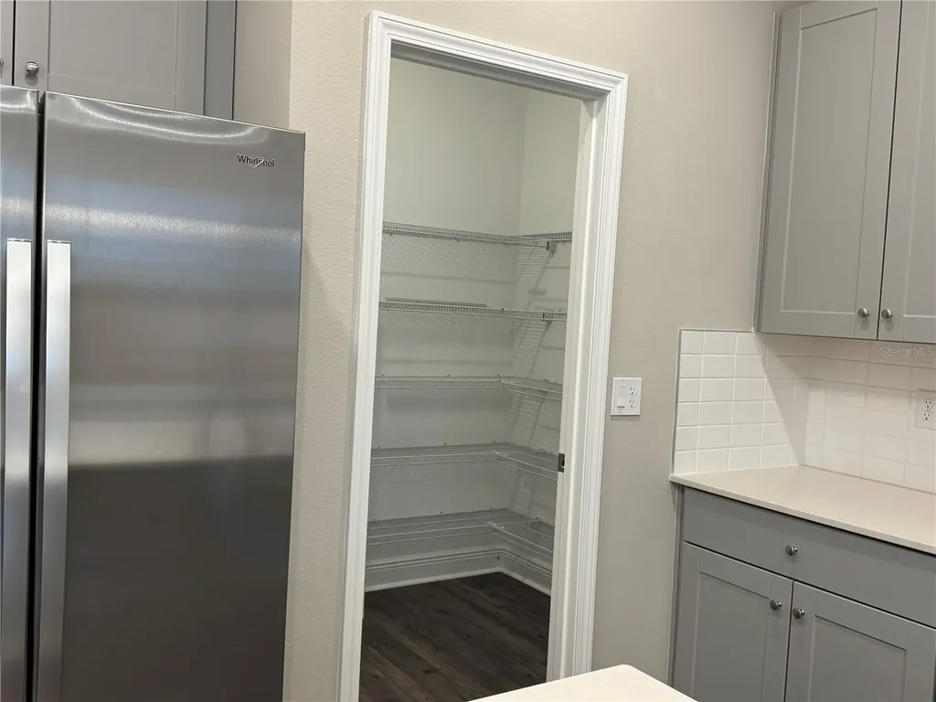 16434 Hamlin Hills Road Winter Garden FL 34787