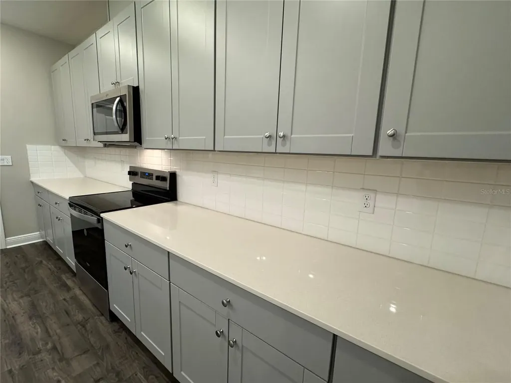 16434 Hamlin Hills Road Winter Garden FL 34787