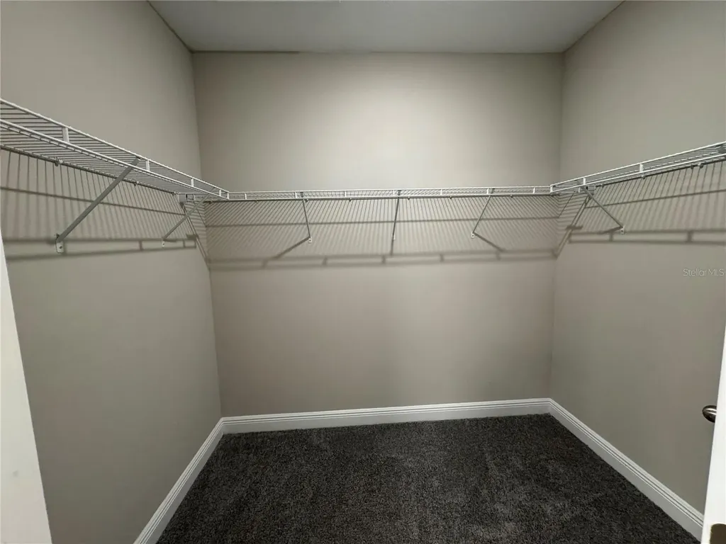 16434 Hamlin Hills Road Winter Garden FL 34787