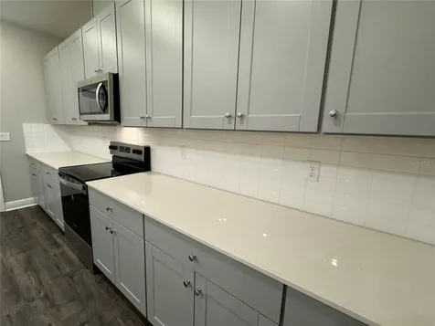 16434 Hamlin Hills Road Winter Garden FL 34787
